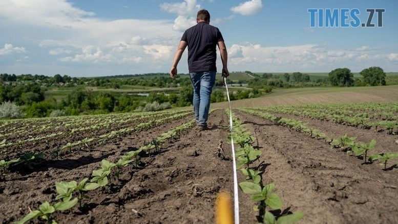 На Олевщині завдяки втручанню прокуратури громаді повернуто з незаконної оренди майже 400 га землі