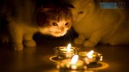 Де сьогодні у Житомирі не буде світла