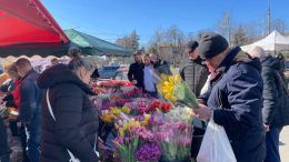 Квітково-святковий ажіотаж в Житомирі