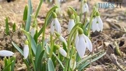 Синоптики розповіли, якими будуть перші весняні вихідні у житомирян