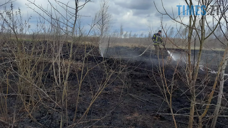З початку року на Житомирщині вже зафіксовано 239 пожеж в екосистемах