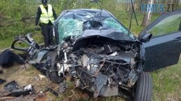 Смертельна автотроща на Звягельщині: одна людина загинула, одна - у реанімаціі