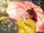 Цього тижня на Житомирщині синоптики прогнозують теплу та дощову погоду