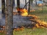 Завтра на Житомирщині оголошено надзвичайний рівень пожежної небезпеки