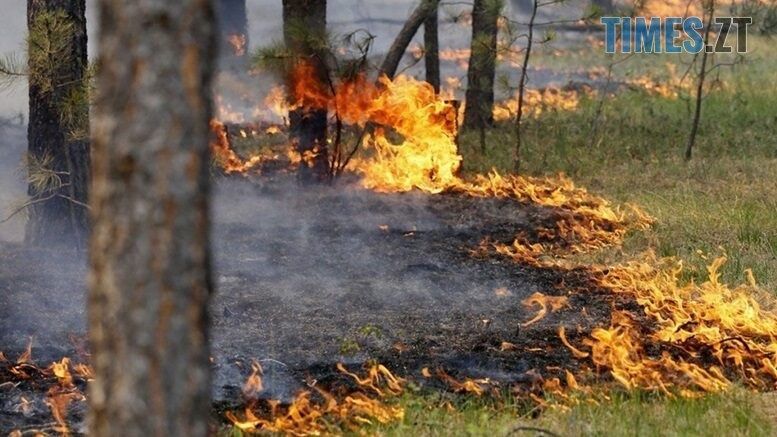 Завтра на Житомирщині оголошено надзвичайний рівень пожежної небезпеки