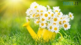 Цього тижня на Житомирщину прийде справжнє літо