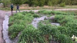 У Бердичеві екологи зафіксували факт забруднення річки Гнилоп’ять