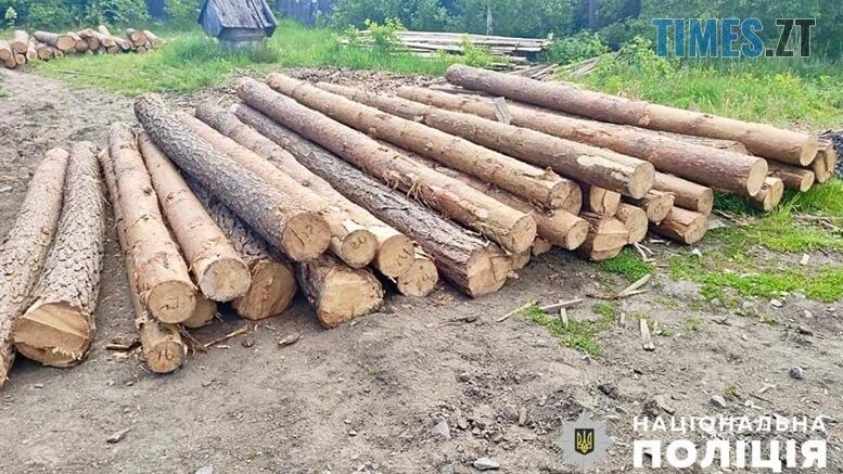 На приватній лісопильні в Олевській громаді лісівники виявили крадений ліс