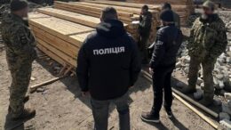 Житомирські поліцейські викрили групу «чорних лісорубів», серед яких майстер лісу