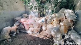 У Житомирі підприємці порушували правила поводження з небезпечними медвідходами, що могло спровокувати сплеск інфекцій