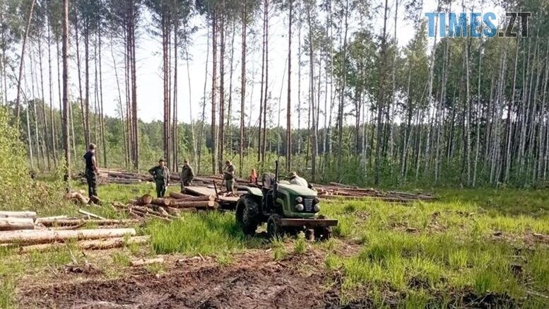 На Олевщині лісівники виявили трактор, навантажений краденим лісом