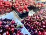 Полуниця, черешня, кавуни і лохина: скільки коштують на ринках Житомира