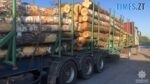 Лише за останню добу житомирські патрульні зупинили три вантажівки з краденим лісом