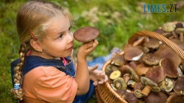 На Житомирщині зафіксовано перший випадок отруєння грибами цього року