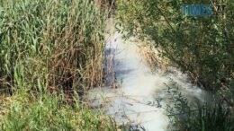 Екологи встановили, як відбувається забруднення води у річці Крошенка у Житомирі