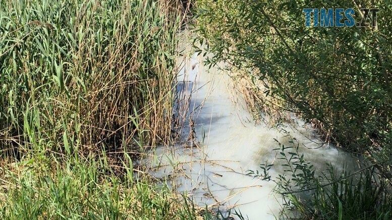 Екологи встановили, як відбувається забруднення води у річці Крошенка у Житомирі
