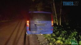 На Житомирщині автомобіль збив лося