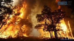 На Житомирщині оголошено надзвичайний рівень пожежної небезпеки
