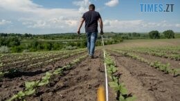 На Житомирщині з незаконного користування суд повернув громаді понад 160 га землі