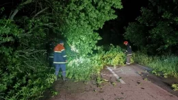 На Житомирщині надзвичайники ліквідовують наслідки негоди