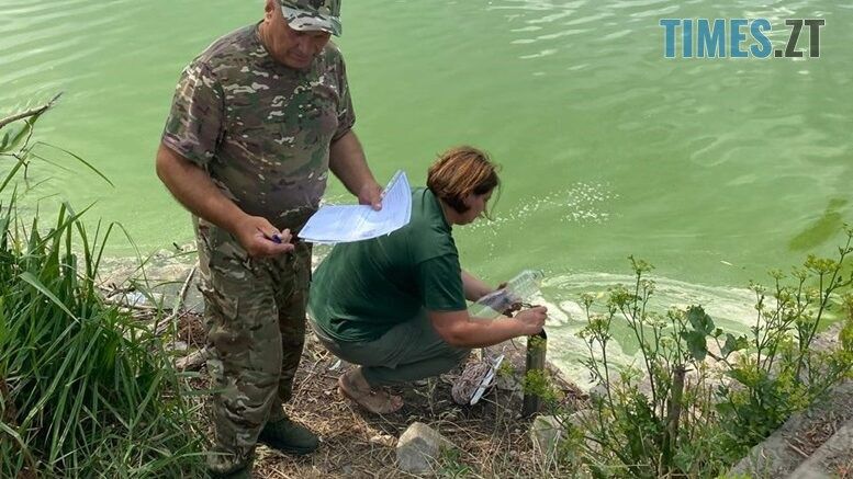 На Ружинщині через спуск води у місцевій водоймі почала гинути риба