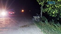 У ДТП на Бердичівщині загинув водій квадроцикла