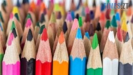 Віддалена робота по сортуванню олівців: правоохоронці викрили житомирянина у шахрайстві