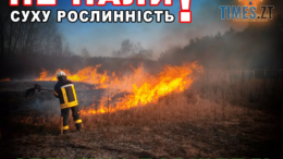 Цьогоріч на Житомирщині надзвичайники вже ліквідували 433 загоряння сухої трави на площі понад 300 га