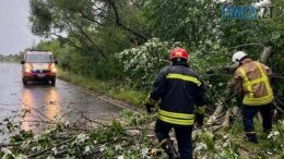 На Житомирщині вирує негода: без світла залишились 4 населені пункти області