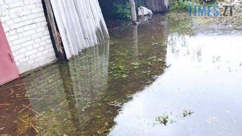 Підтоплені домогосподарства та повалені дерева: негода на Житомирщині наробила лиха