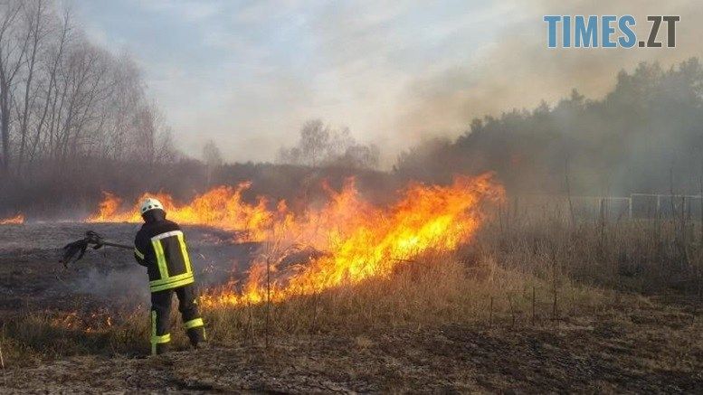 На Житомирщині від початку року ліквідовано вже 569 пожеж у природних екосистемах