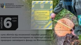 У ландшафтному заказнику на Коростенщині невідомі незаконно зрубали 61 дерево різних порід