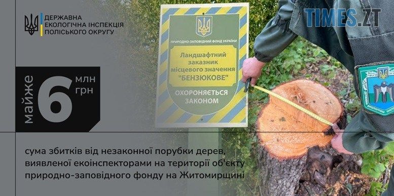 У ландшафтному заказнику на Коростенщині невідомі незаконно зрубали 61 дерево різних порід