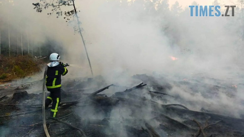 На Бердичівщині в результаті пожежі постраждала чергова палійка сміття