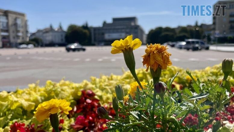 Літо відцвітає: Житомир на порозі осені