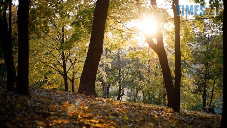 По-літньому тепла погода очікує на мешканців Житомирщини цього тижня