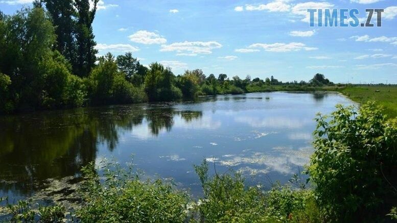 На ставку на Черняхівщині врятували від утоплення двох маленьких дітей