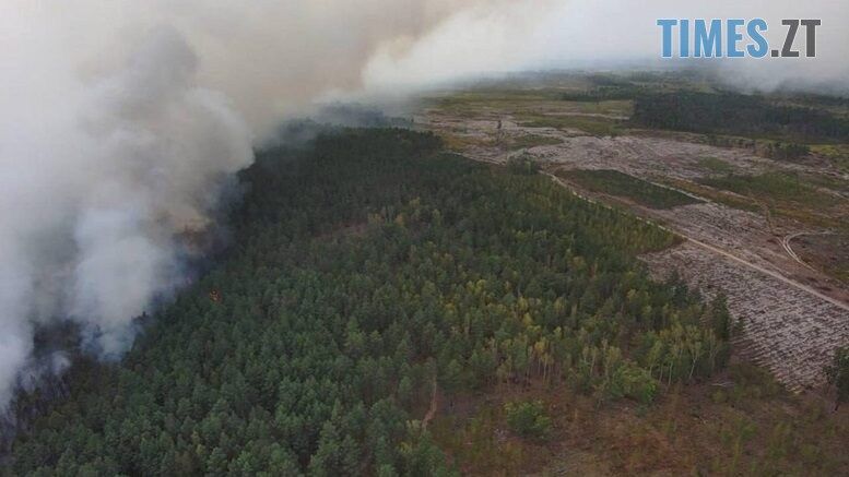 На землях Поліського природного заповідника сталася масштабна пожежа