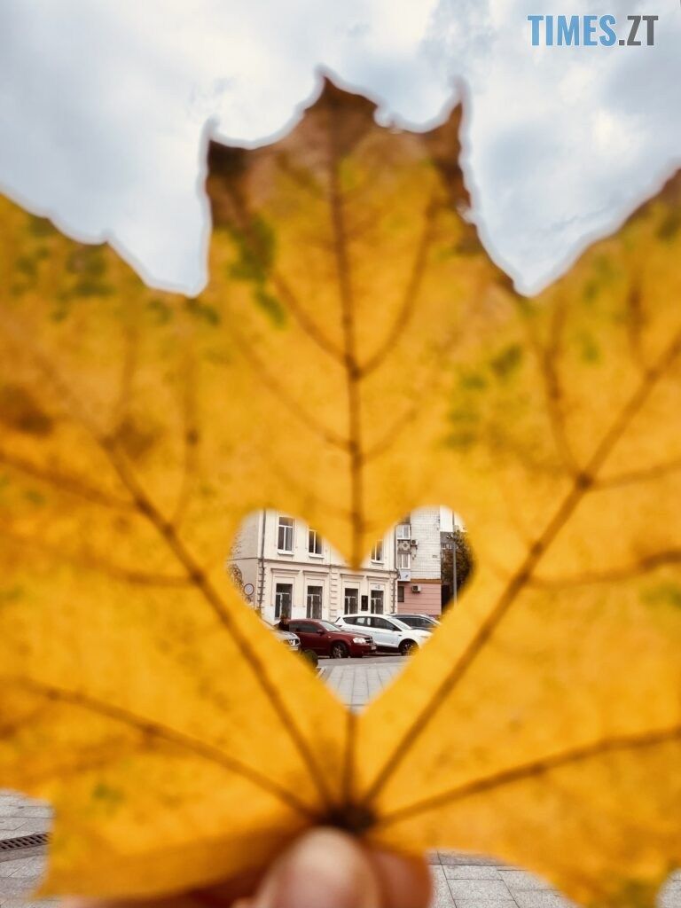 Осінньо-гарбузовий Житомир напередодні Halloween (ФОТОРЕПОРТАЖ)