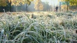 Попри заморозки відключень світла в Україні не передбачається