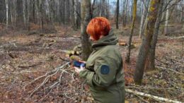 У Житомирському районі екологи виявили незаконну вирубку біля 4 га дерев