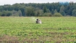 Поліцейські-вибухотехніки знешкодили на Житомирщині небезпечні предмети, виявлені після обстрілів армією рф