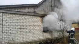 На пожежі на Звягельщині загинула літня господиня
