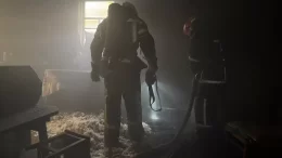 У пожежі на Бердичівщині загинула літня господиня