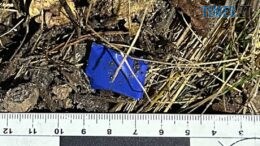 «Школа Героїв» у Житомирі: хто та як допомагатиме підліткам реалізовувати ідеї