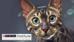 Purina: понад 90 років турботи про тварин та тих, хто їх любить