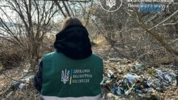 У житомирському Гідропарку екологи виявили стихійне сміттєзвалище