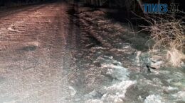 На Олевщині правоохоронці розшукують водія, який вчинив ДТП з травмуванням людини