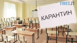 На Житомирщині через зростання захворюваності на ГРВІ та грип школи масово переходять на дистанційку