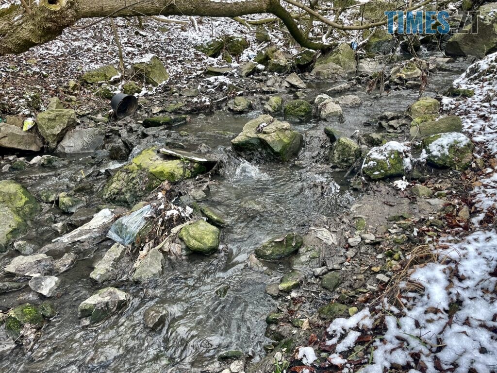 Берега Кам’янки у Житомирі: водоспад Коденка місцеві перетворили на смітник (ФОТО)